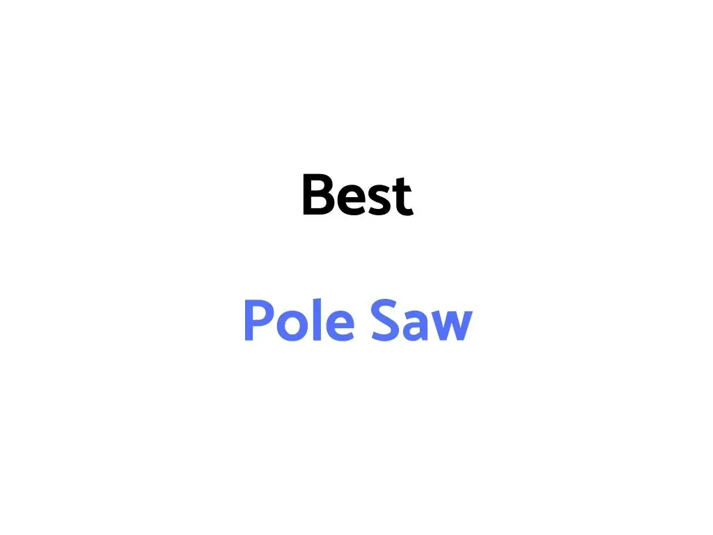 Best Pole Saw