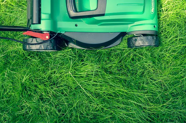 Best Eco Friendly Green Lawn Mower